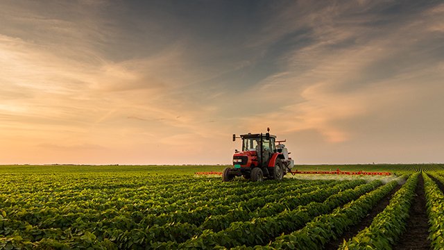 Минеральные удобрения